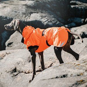 Hurtta Summit Insulated Dog Parka Size 55 cm / 22 in